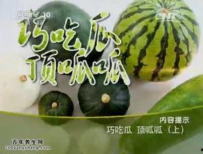 中国人民吃瓜现场视频,揭秘中国吃瓜群众的现场盛况