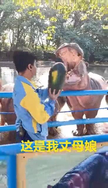 吃瓜最新丈母娘视频,揭秘家庭温馨瞬间