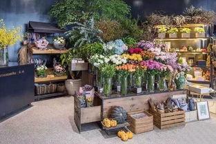 花店的吃瓜视频在哪看啊,观看指南大公开