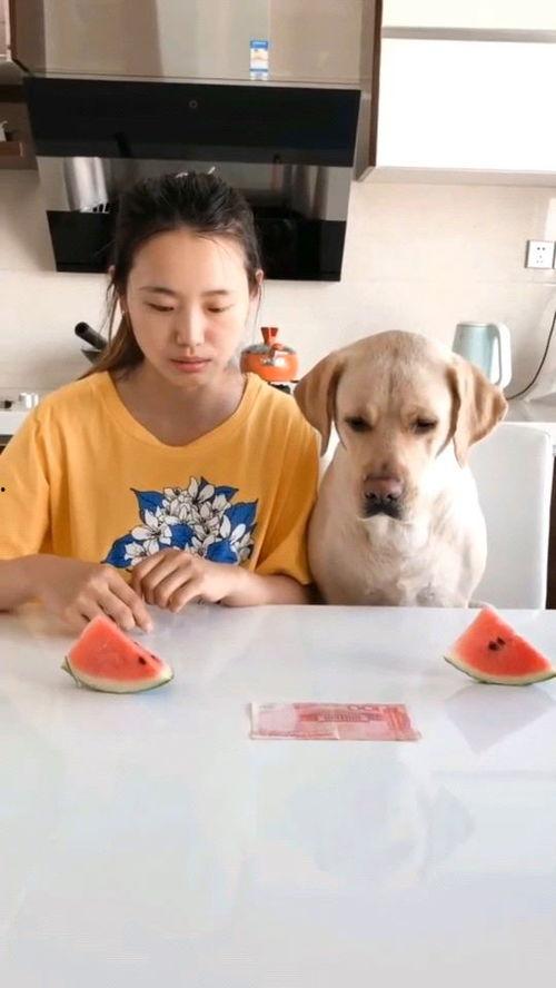 动漫吃瓜比赛视频,欢乐盛宴，瓜王争霸