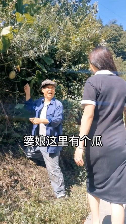 吃瓜八卦段子搞笑视频完整版,笑料横生！吃瓜八卦段子搞笑视频大集合