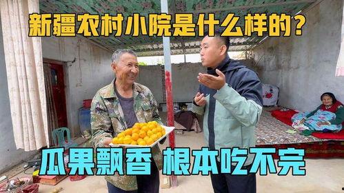 乡下小院吃瓜视频大全播放,小院吃瓜视频大全，夏日清凉一夏