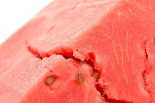 网上吃内脏瓜好吗视频,网上流行吃内脏瓜，真的好吗？