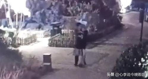 乌托邦镇吃瓜视频,揭秘神秘社区里的吃瓜日常