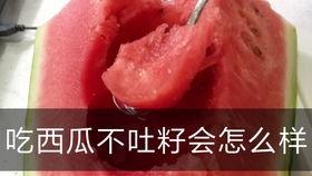 吃瓜不吐籽有危害吗视频,吃瓜不吐籽的潜在危害揭秘