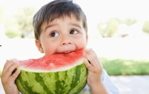 一只呆瓜吃西瓜视频,一场欢乐的味蕾之旅