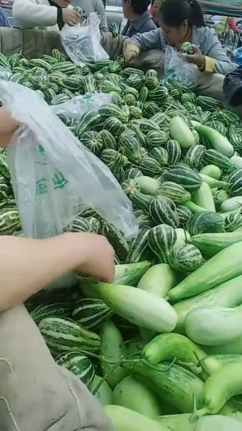 农民免费吃瓜视频网站,农民专属视频网站带你体验田园生活