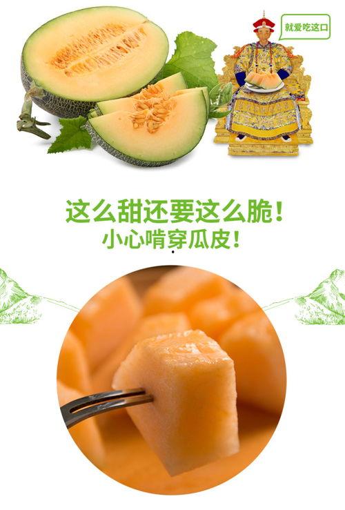 吃蜜瓜助眠视频大全集播放,视频大全集带你轻松进入梦乡