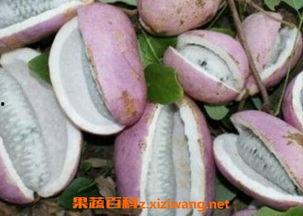 八月瓜如何蒸着吃视频,传统美味，蒸出健康与营养