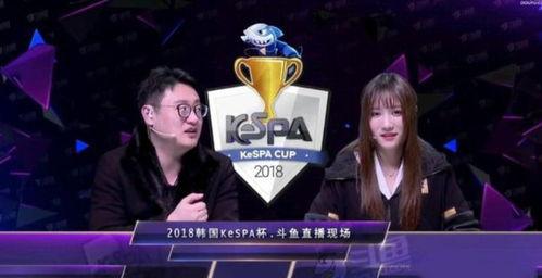 解说杯全队吃瓜视频,现场氛围热烈