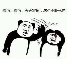 吃瓜的表情包做视频,趣味横生的短视频盛宴