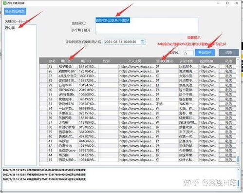 吃瓜视频评论区钓鱼,一场关于真相与谣言的较量