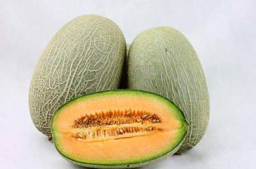 小柠檬吃哈密瓜好吗视频,甜蜜滋味与营养揭秘