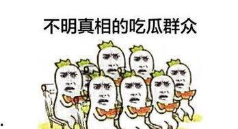 吃瓜群众不发言视频播放,揭秘视频背后的沉默力量