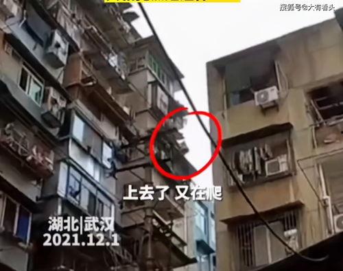 海亮6楼吃瓜视频播放,揭秘校园生活幕后趣闻