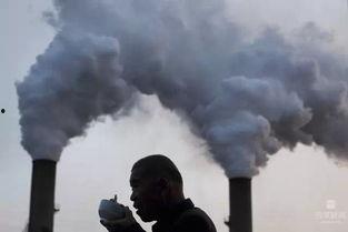 武安铁厂吃瓜事件视频,一场网络舆论的风暴与反思