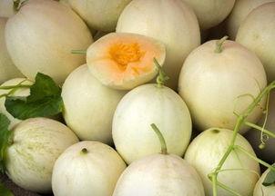 韩国人吃白兰瓜视频,白兰瓜的独特魅力