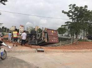 广东河源吃瓜事件视频,一场网络热议背后的真相揭秘