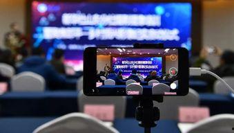 邹平最新吃瓜新闻视频播放,视频播放量飙升，揭秘幕后真相