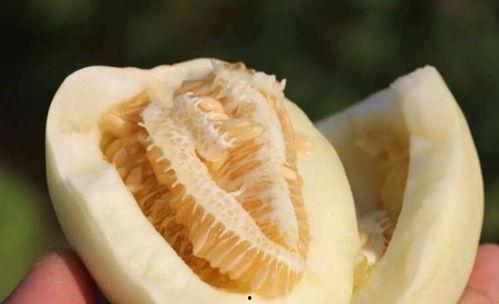 瓜太甜怎么吃才好吃视频,瓜太甜？这样吃让你回味无穷